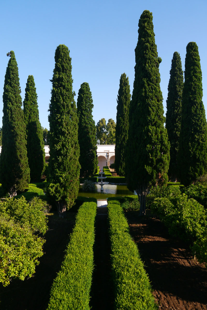 Jardim do eremitério de Santa Maria Scala Coeli. Autor: Fernando Jorge, 2018.